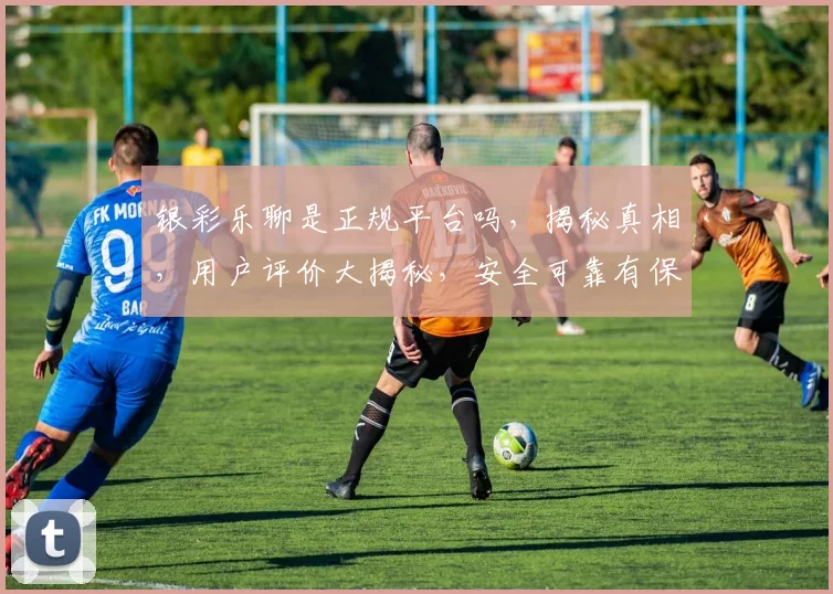 银彩乐聊是正规平台吗，揭秘真相，用户评价大揭秘，安全可靠有保障，值得信赖