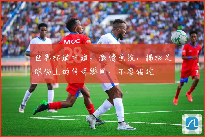 世界杯道中道，激情竞技，揭秘足球场上的传奇瞬间，不容错过