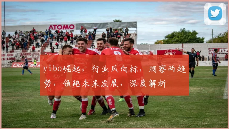 yibo崛起，行业风向标，洞察两趋势，领跑未来发展，深度解析