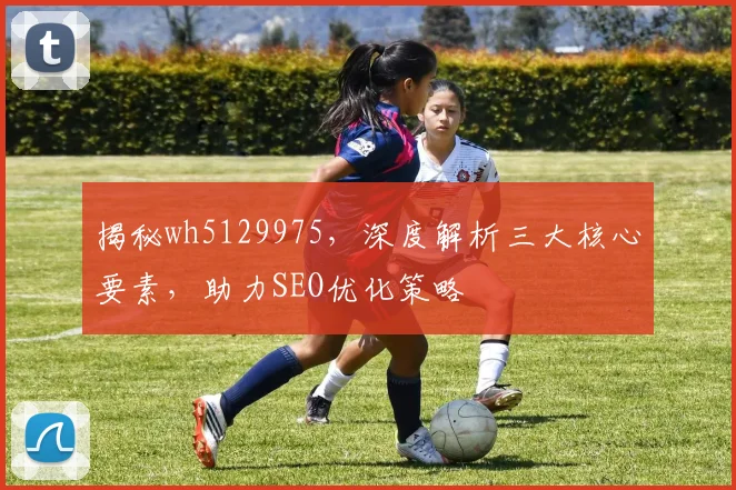 揭秘wh5129975，深度解析三大核心要素，助力SEO优化策略
