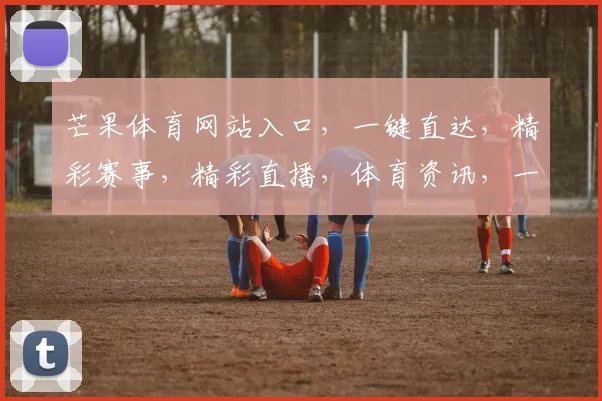 芒果体育网站入口，一键直达，精彩赛事，精彩直播，体育资讯，一站式服务体验